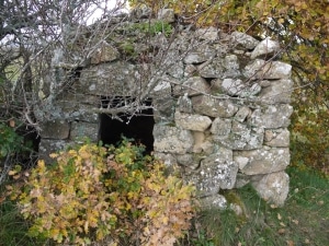 1/2 • Cabane de pierres sèches (Peyrot) • Photo Francis Mandeau