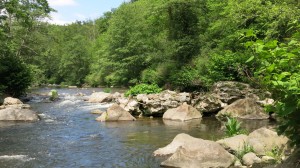 Les moulins de la Cance