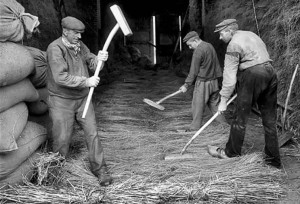 Le battage en 1911