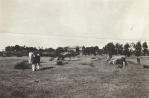 Champs autour de la ferme du Mas