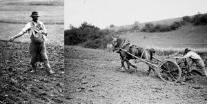 Semailles à la volée ou semailles à la cuillère