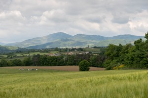 La campagne autour de Quintenas