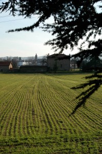 Les sillons mènent au village