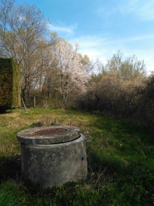 La source des Bœufs convertie en lavoir par temps de sécheresse